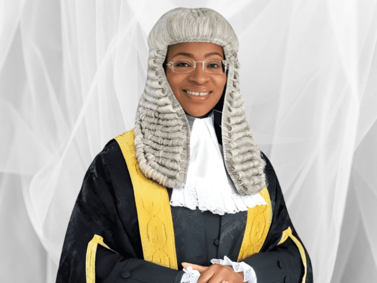 7 Things to Know About the New NBA President, Badejo-Okusanya