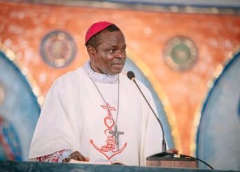 Pope Leo Appoints Bishop Ogun As Apostolic Administrator Of Benin City Archdioce