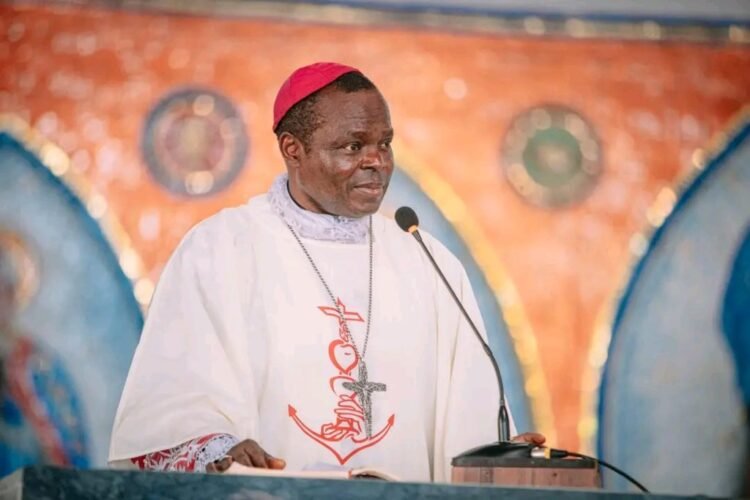 Pope Leo Appoints Bishop Ogun As Apostolic Administrator Of Benin City Archdioce