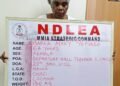 Nigerian-British grandma arrested with 13kg cocaine concealed in plantain peels