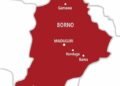 Boko Haram Attack: Borno School releases names of 36 students still missing (Full List)