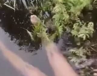 Man arrested after dumping body of lady he allegedly killed in Ajah canal