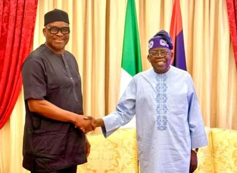 Tinubu appoints Fayose REA chairman, names 25 others