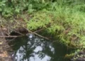 Navy dismantles emerging crude oil theft storage infrastructure in Rivers