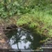 Navy dismantles emerging crude oil theft storage infrastructure in Rivers