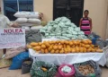 NDLEA nabs couple, seizes 412kg cannabis in Benin