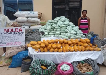 NDLEA nabs couple, seizes 412kg cannabis in Benin