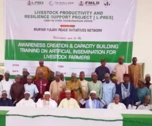 Sokoto trains livestock farmers on artificial insemination