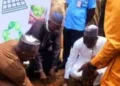 FUBK, UNICEF launch green rising campaign, plant 1,000 trees in Kebbi