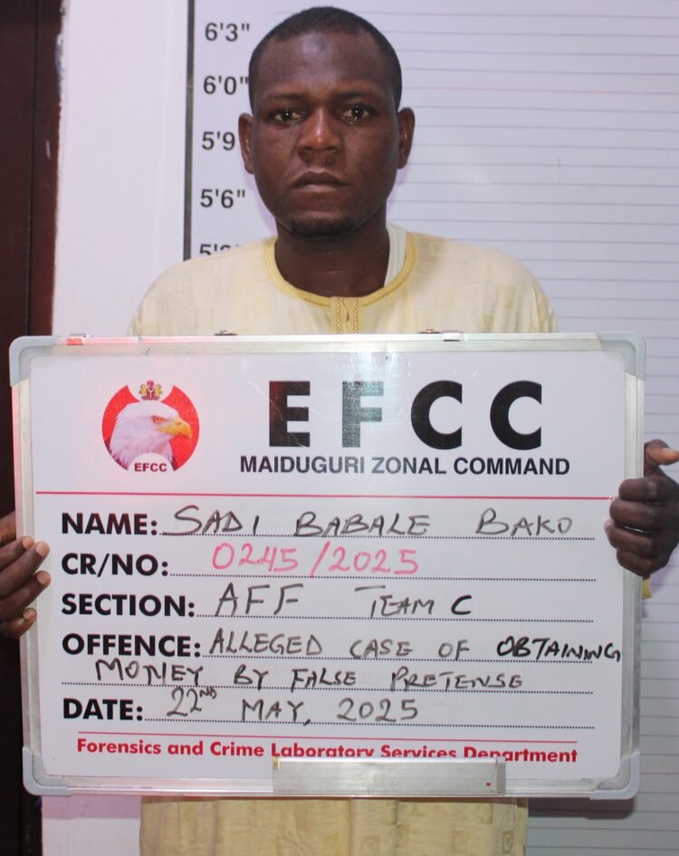 EFCC Arraigns One for Alleged N19m Fraud in Maiduguri 