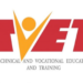TVET reforms boost technical college enrolment — NABTEB