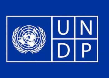 FG, UNDP unveil renewable energy projects to enhance electricity access
