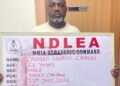 NDLEA Arrests Drug Kingpins, Intercepts ₦10 Billion Narcotics In Lagos
