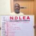 NDLEA Arrests Drug Kingpins, Intercepts ₦10 Billion Narcotics In Lagos