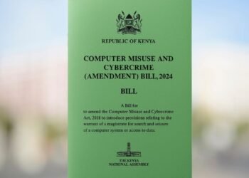 Kenyan court bars govt from shutting down websites without court order