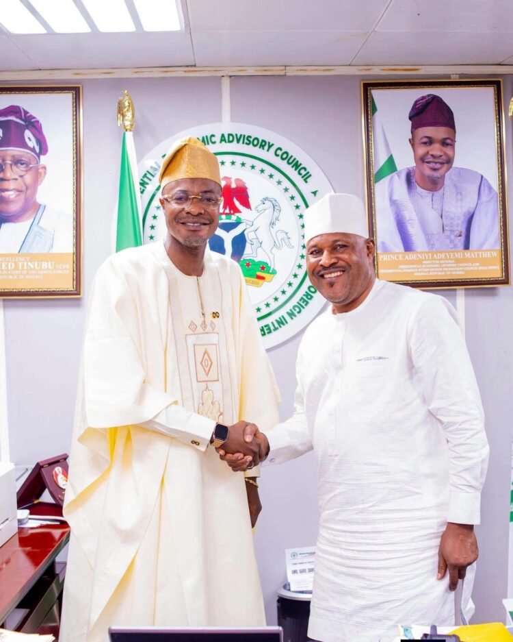 Prince Adeniyi Adeyemi’s PFIPC Fake Agency: How It Started