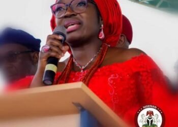 Senator Ekwunife appointed as BOT member for Solar Energy Society of Nigeria