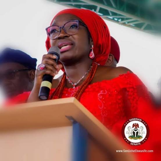 Senator Ekwunife appointed as BOT member for Solar Energy Society of Nigeria