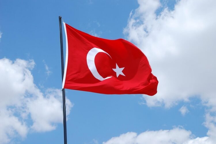 9 African countries eligible for Turkey’s e-Visa