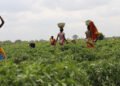 Endeavor Nigeria welcomes Ghanaian entrepreneur Desmond Koney and Complete Farmer to the Endeavor Network