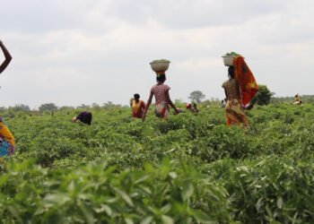Endeavor Nigeria welcomes Ghanaian entrepreneur Desmond Koney and Complete Farmer to the Endeavor Network