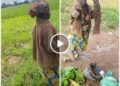 I’m hungry. My children live in the city but none visits or checks on me – Elderly woman caught stealing farm produce in Kaduna