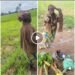 I’m hungry. My children live in the city but none visits or checks on me – Elderly woman caught stealing farm produce in Kaduna
