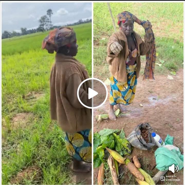 I’m hungry. My children live in the city but none visits or checks on me – Elderly woman caught stealing farm produce in Kaduna