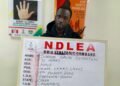 NDLEA intercepts N6.2bn worth of ‘Jihadi drug’ in Ghana soap, opioids at Lagos airport