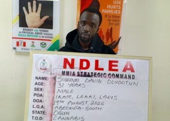 NDLEA intercepts N6.2bn worth of ‘Jihadi drug’ in Ghana soap, opioids at Lagos airport