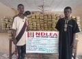 NDLEA arrests India-bound bizman with cocaine, recovers N3.6b Colos, codeine