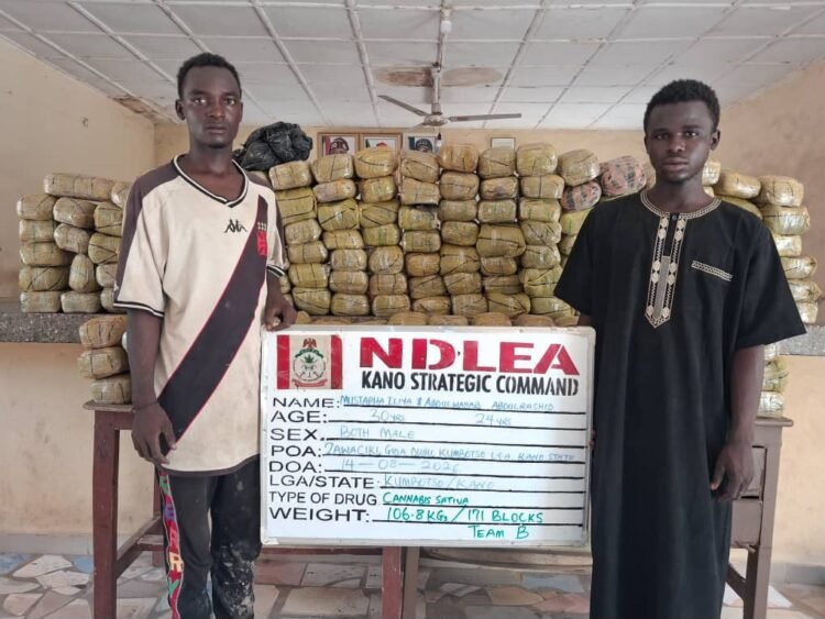 NDLEA arrests India-bound bizman with cocaine, recovers N3.6b Colos, codeine