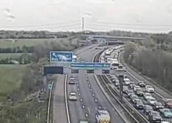 Nigerian NHS worker faces ban for driving against traffic to beat traffic jam in the U.K