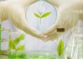 FEC approves revised biotechnology policy, bioenergy plan