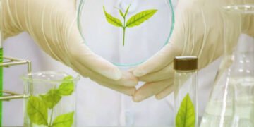 FEC approves revised biotechnology policy, bioenergy plan