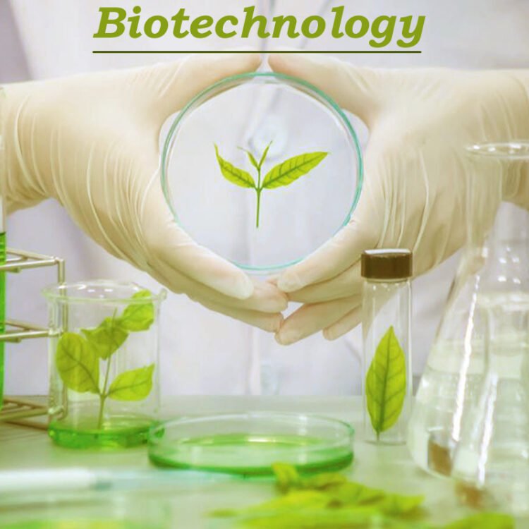 FEC approves revised biotechnology policy, bioenergy plan