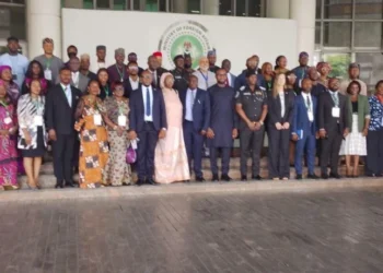 FG establishes AI, cyber diplomacy unit to deepen global engagement