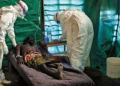 WHO reports largest Ebola outbreak in DR Congo