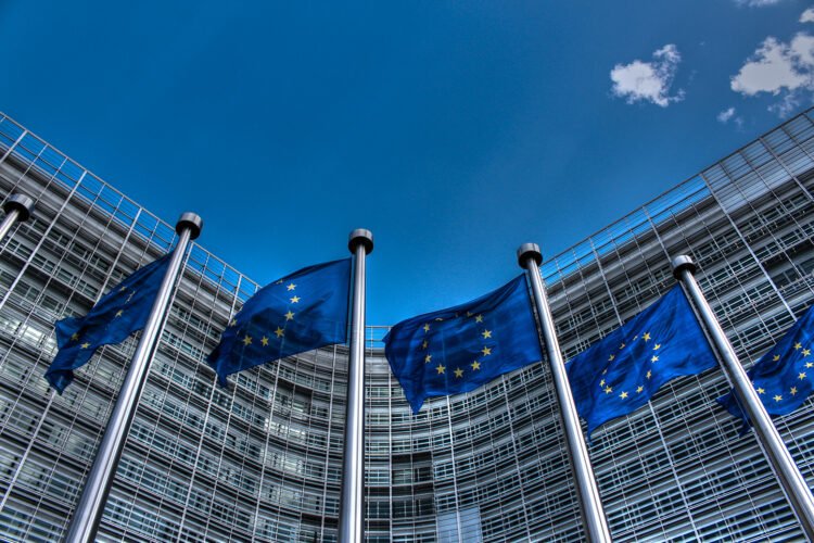 EU allocates €2.3m to curb cholera outbreaks in Nigeria, others