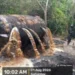 Navy recover 61,000ltrs of petroleum products from reactivated illegal networks in Rivers