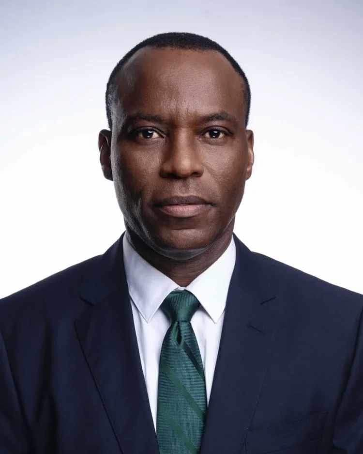 Nigeria must lead global energy security – Seplat CEO