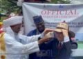 Japan commits $3.5m grant to boost Nigeria’s rice seed production