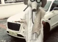 Masked guest, Oga 9ja gifts Peller, Jarvis ₦10m at wedding reception