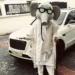 Masked guest, Oga 9ja gifts Peller, Jarvis ₦10m at wedding reception