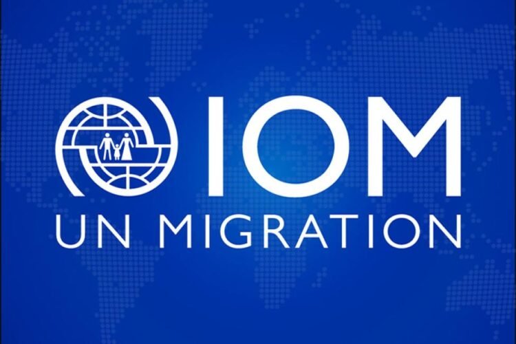 UN migration agency provides assistance to 17m people in 2025