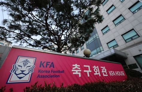South Korea Football Body Apologises Over ‘Sexual Services’ for Foreign Referees