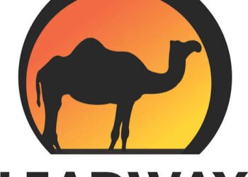 Leadway Assurance targets digital growth after recapitalisation