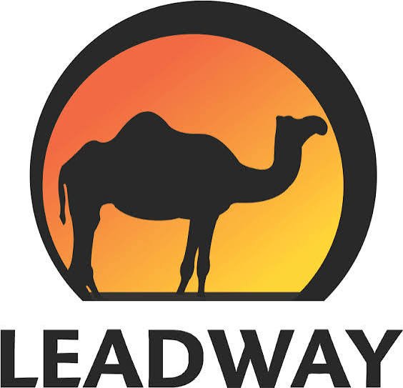 Leadway Assurance targets digital growth after recapitalisation