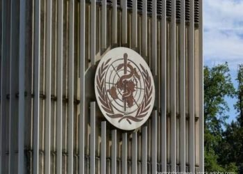 WHO channels $14.4m through mobile money for Health Campaigns