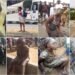 Yahoo Plus and Hidden Mental Health Crisis Devastating Nigeria’s Young Women
